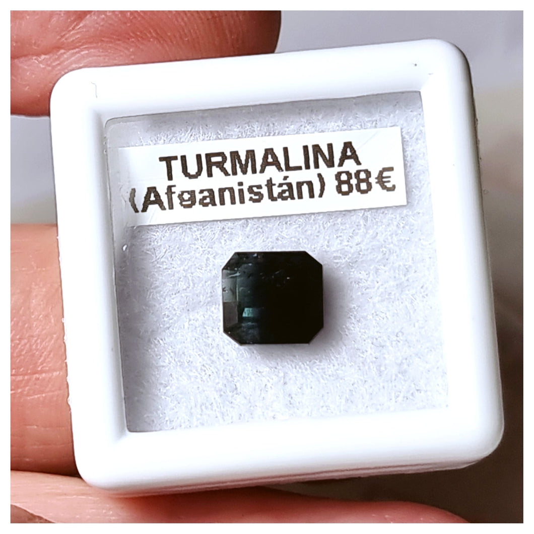 -TURMALINA BICOLOR-