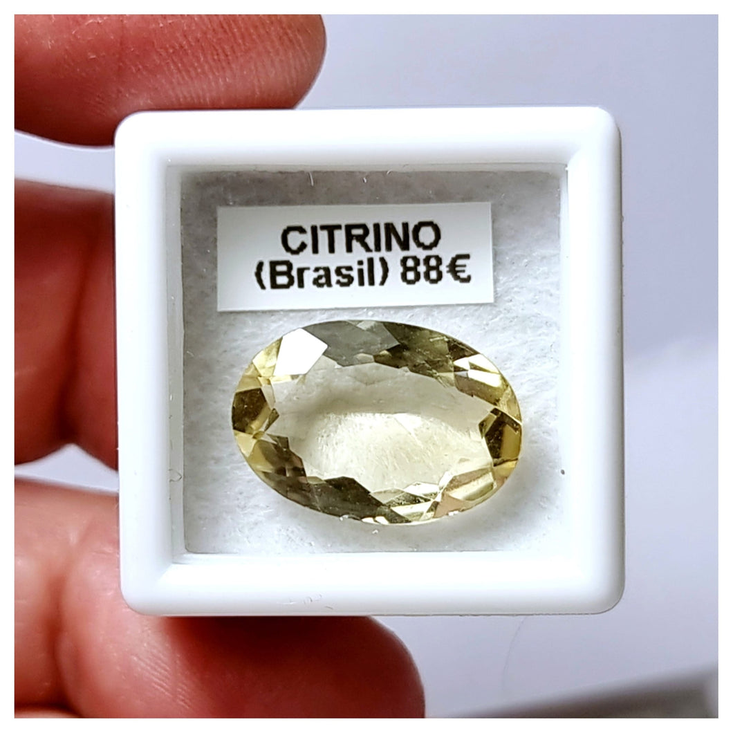 -CITRINO-