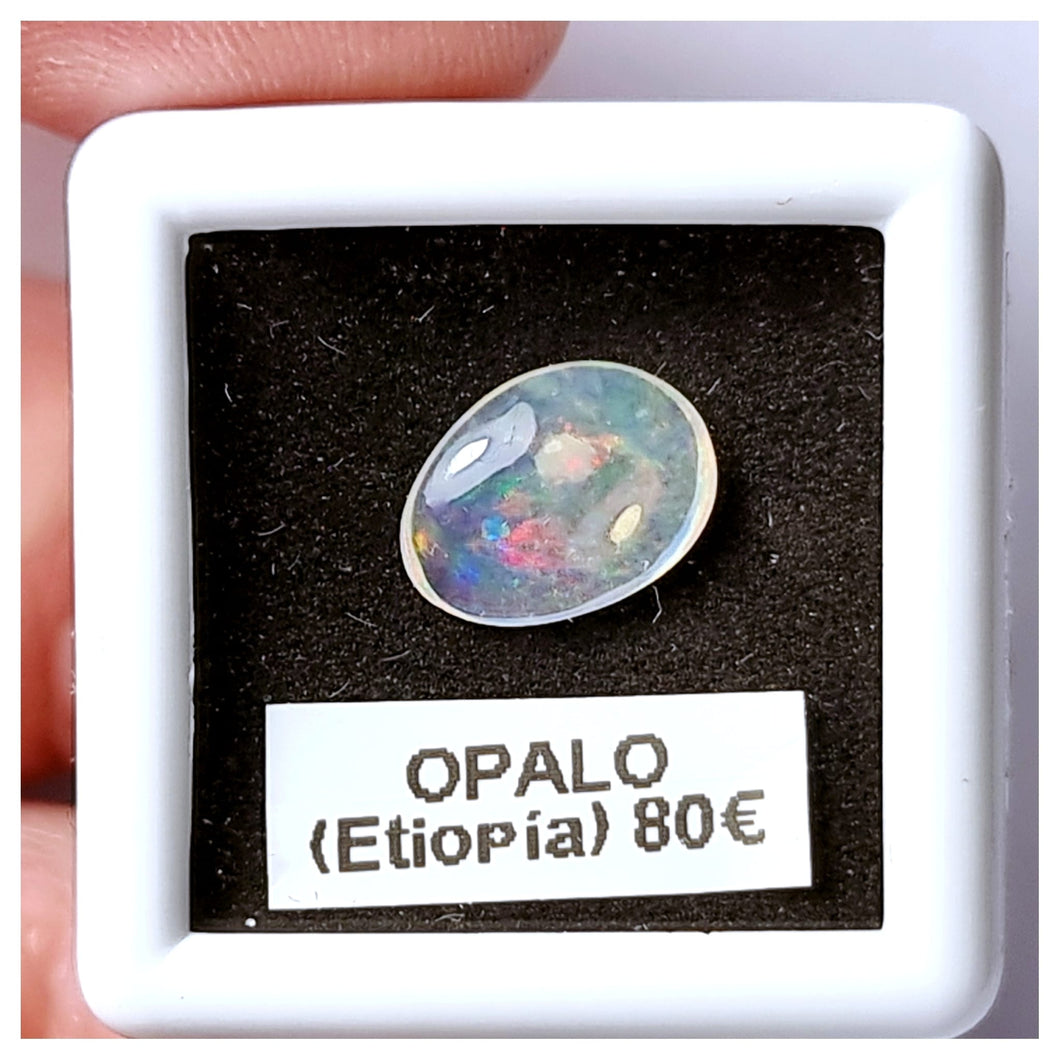 -OPALO ETIOPÍA-