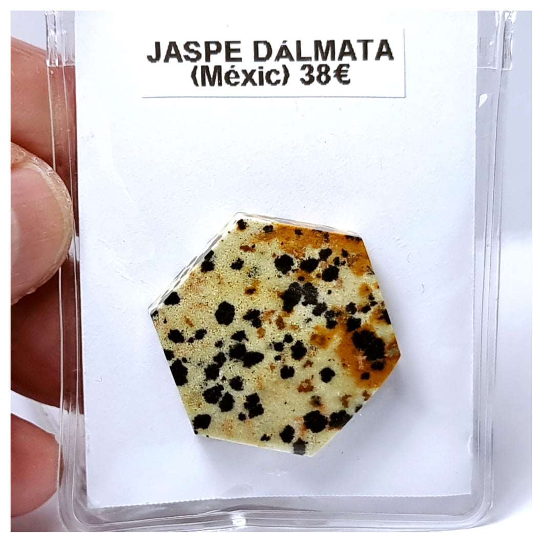 -JASPE DÁLMATA-