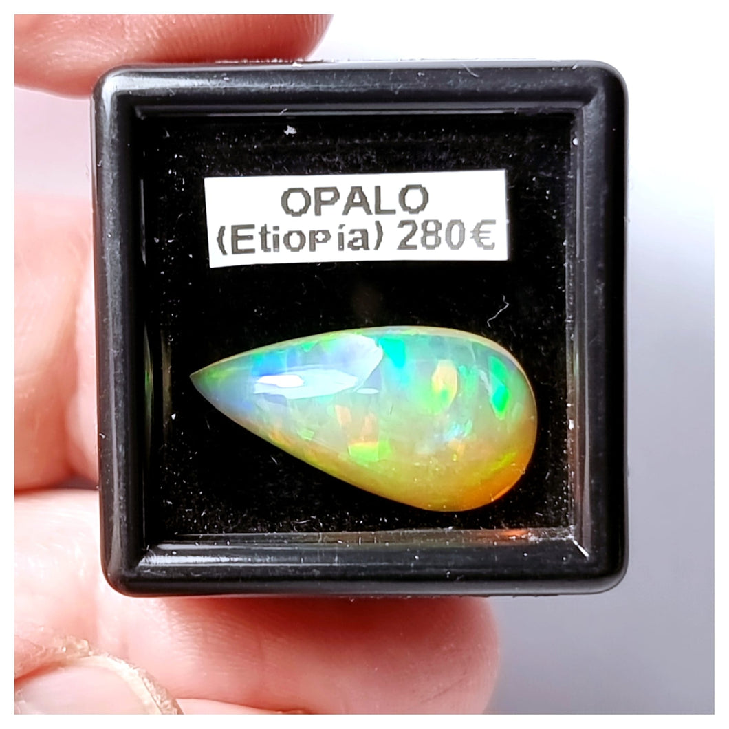 -OPALO ETIOPÍA-