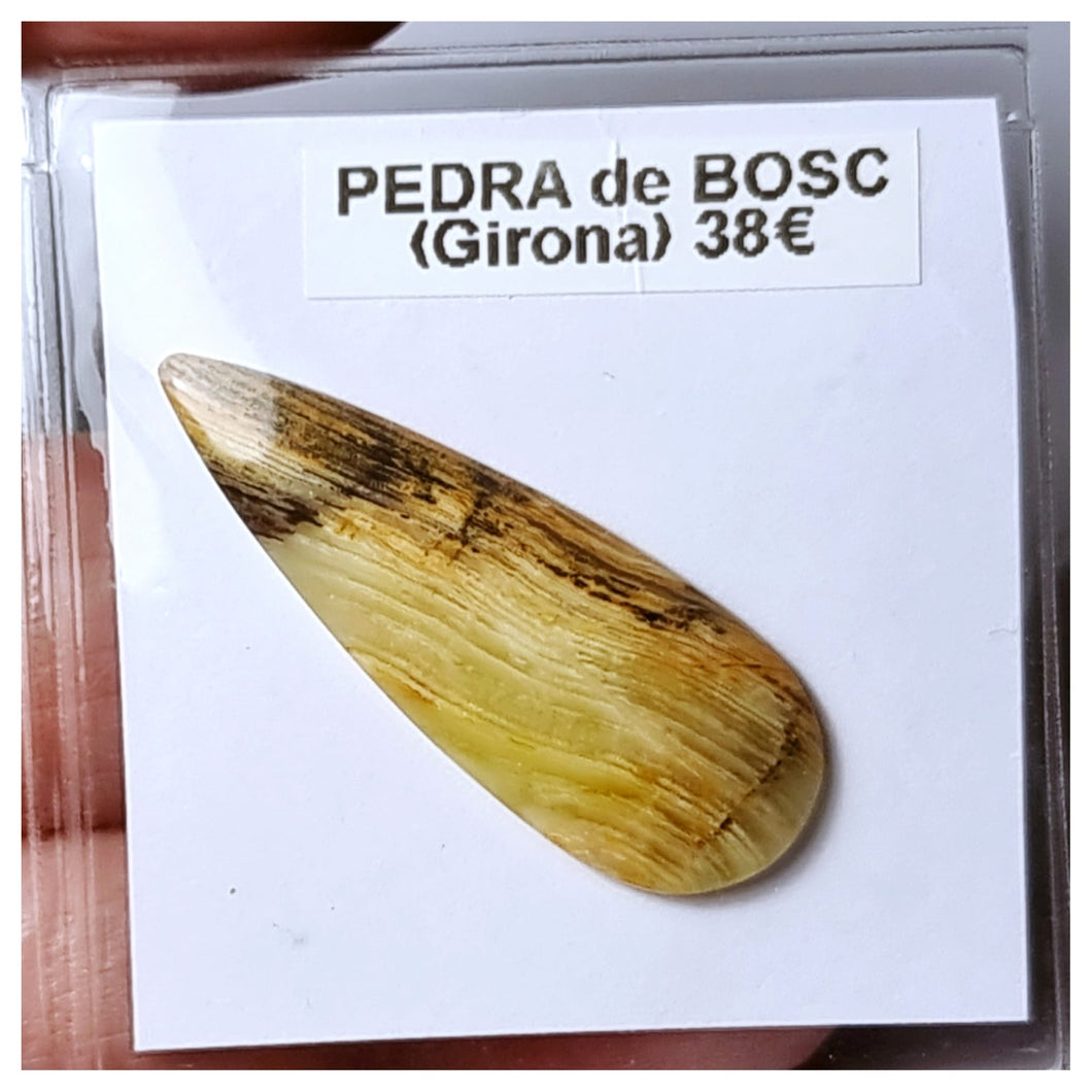 -PIEDRA DE BOSQUE-