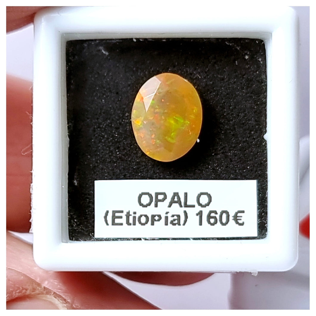 -OPALO ETIOPÍA-