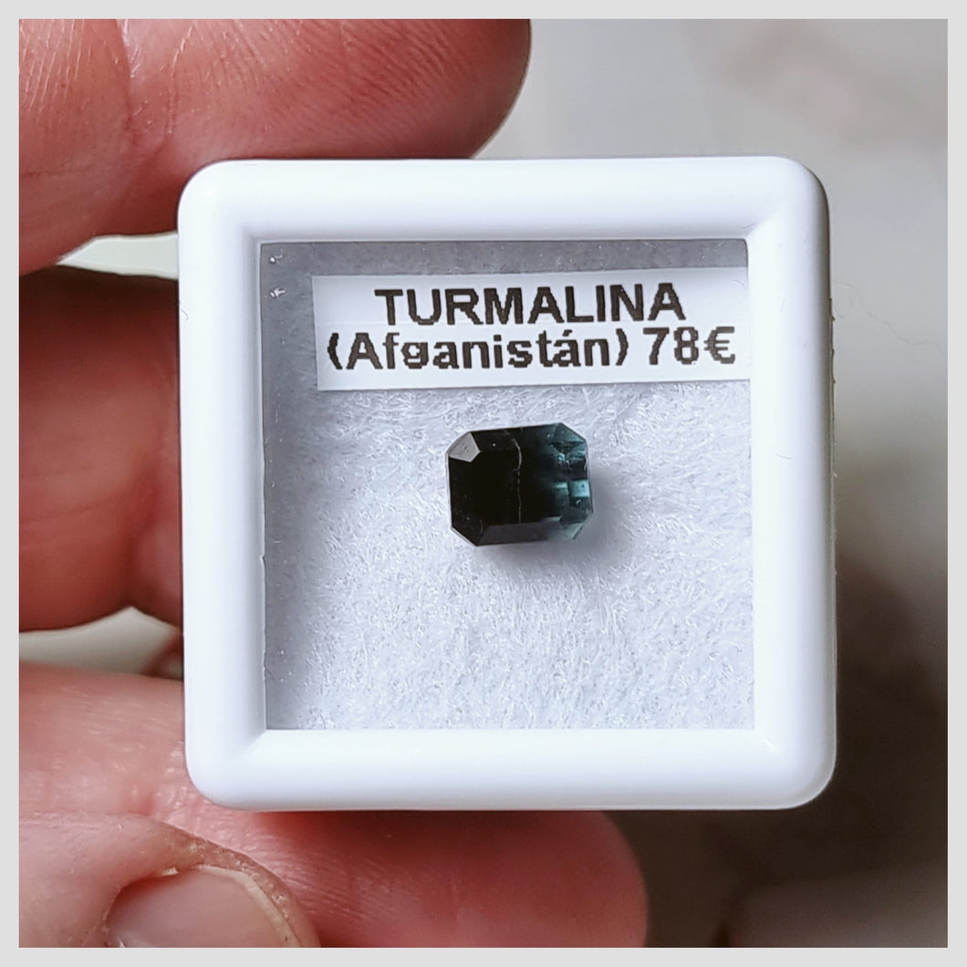 -TURMALINA BICOLOR-