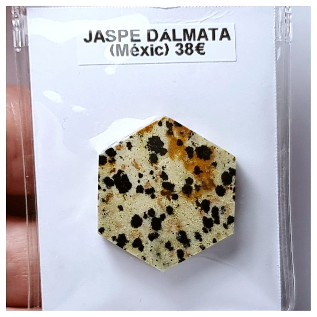 -JASPE DÁLMATA-