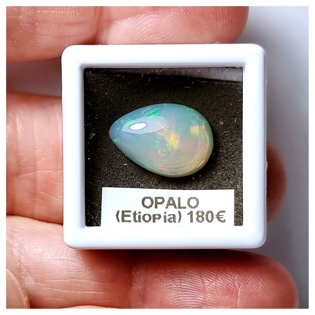 -OPALO ETIOPÍA-