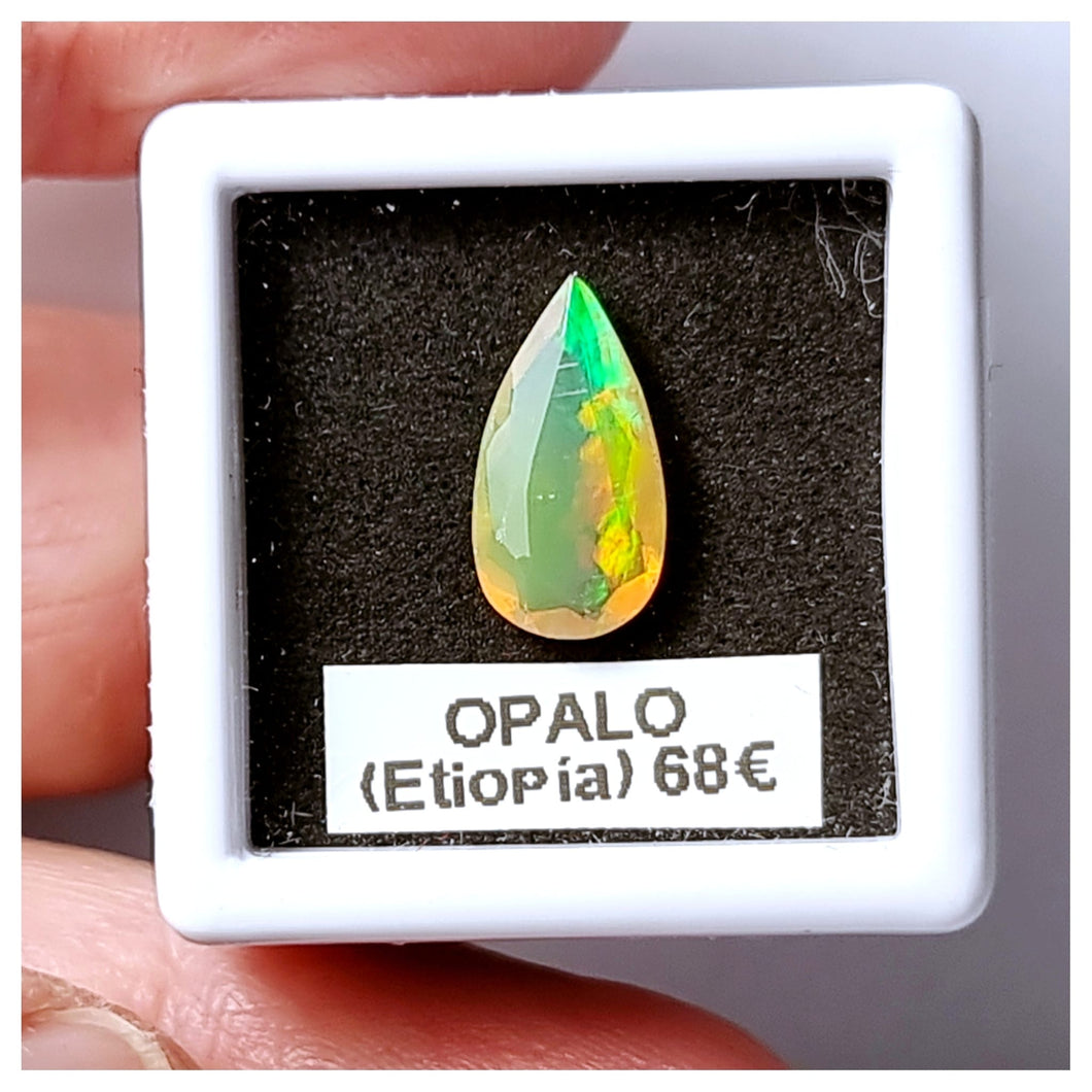 -OPALO ETIOPÍA-