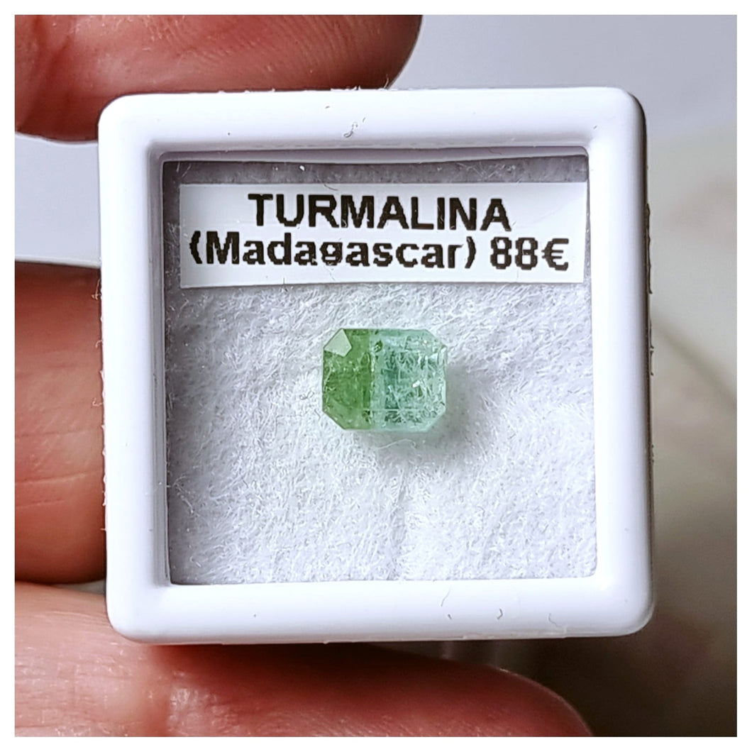 -TURMALINA BICOLOR-