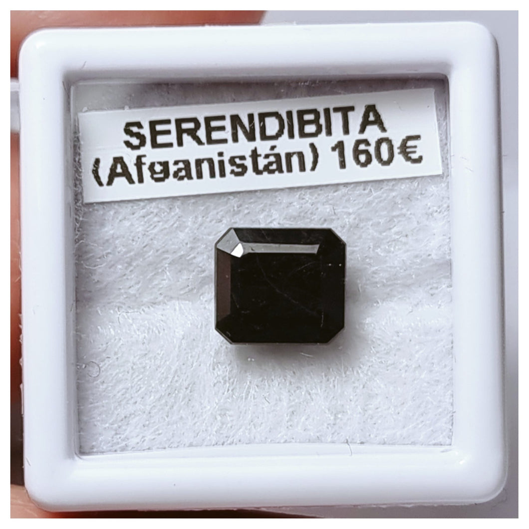 -SEREBDIBITA-