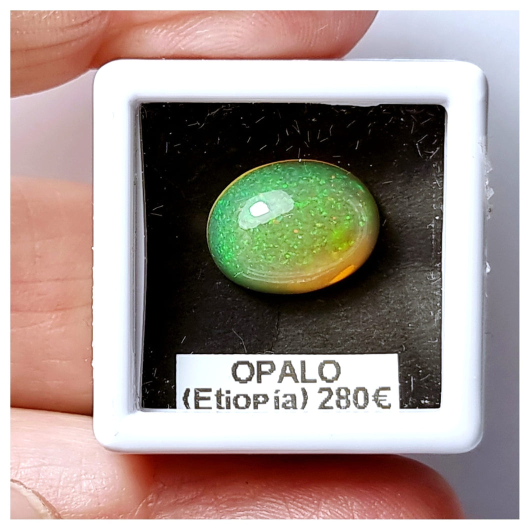 -OPALO ETIOPÍA-