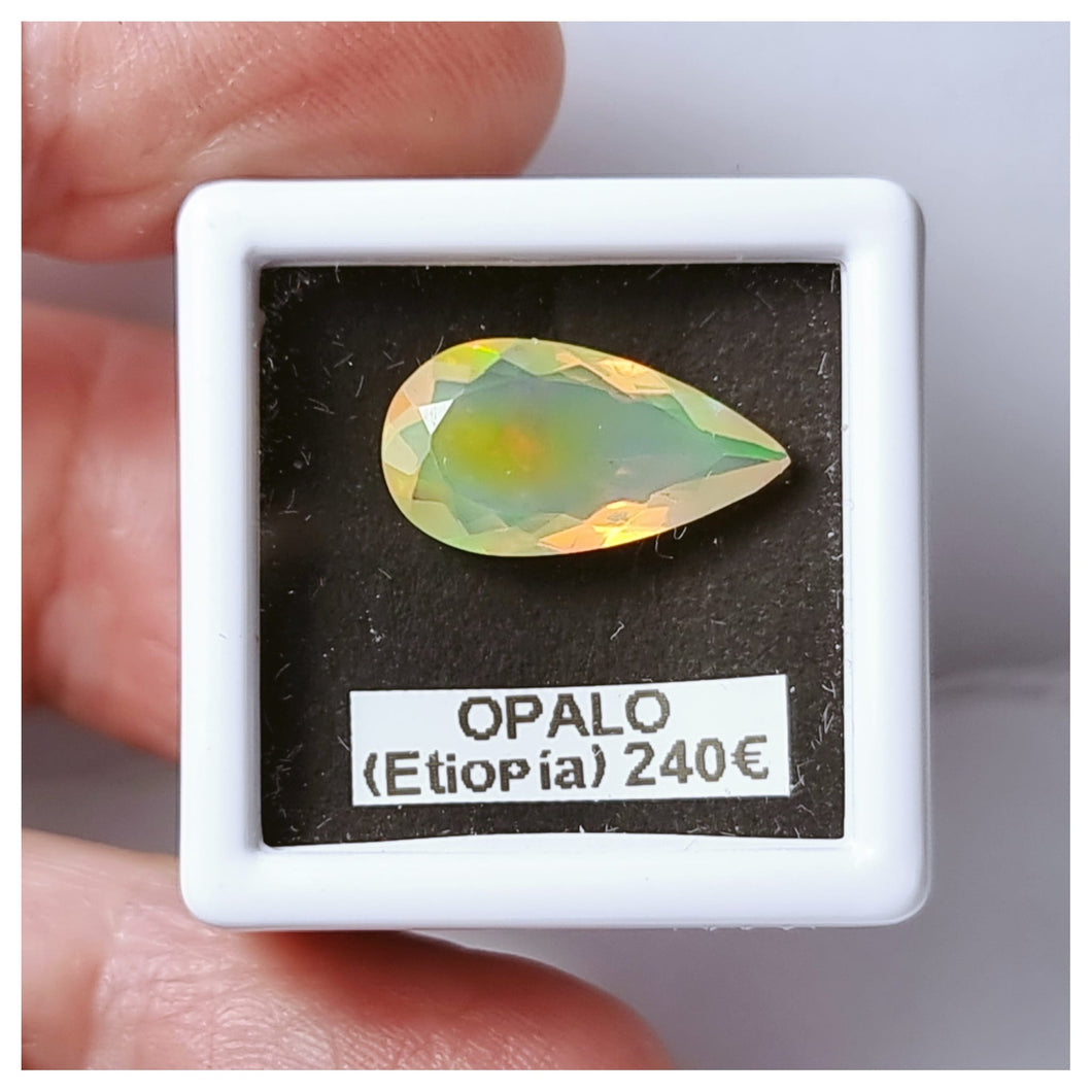-OPALO ETIOPÍA-