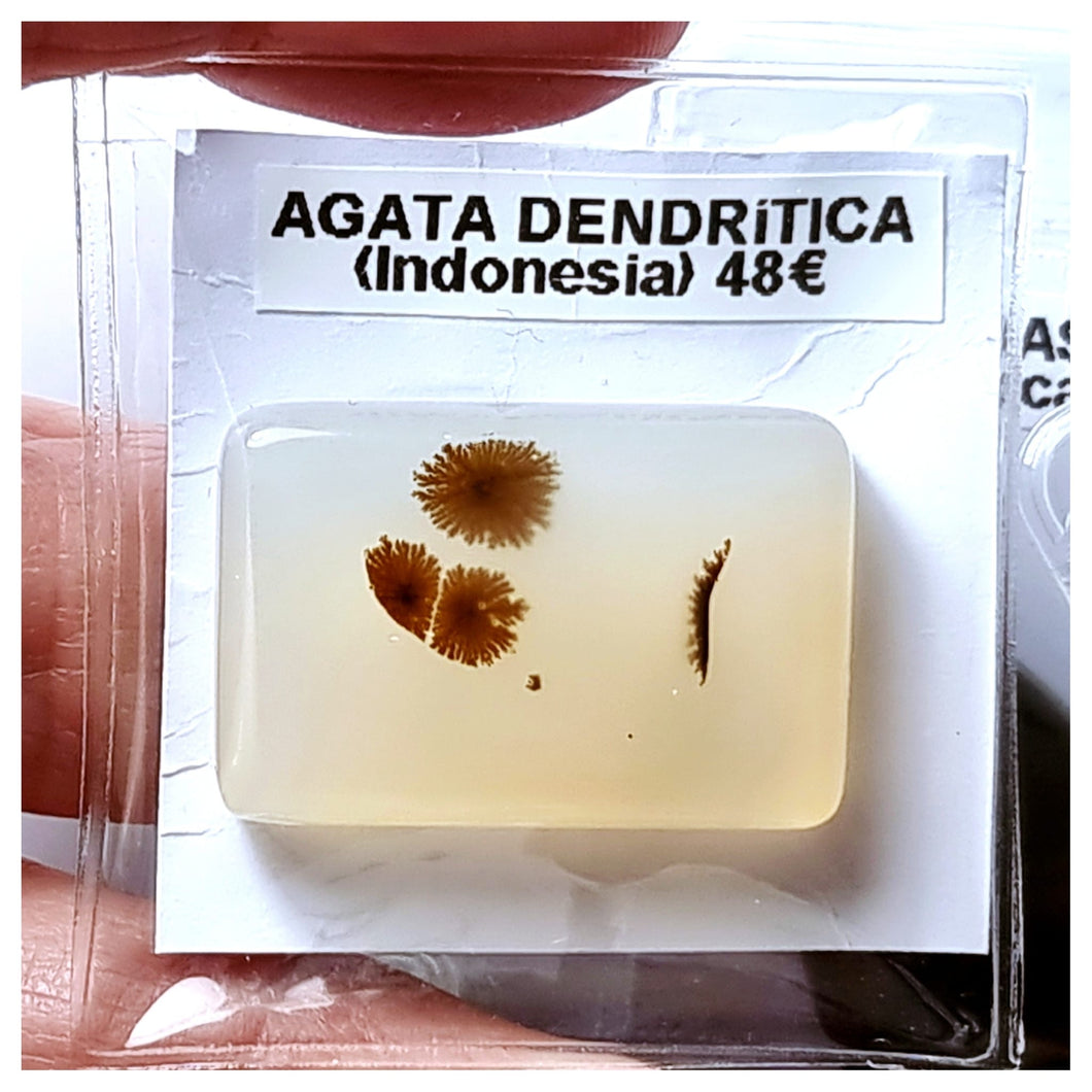 -ÁGATA DENDRÍTICA-