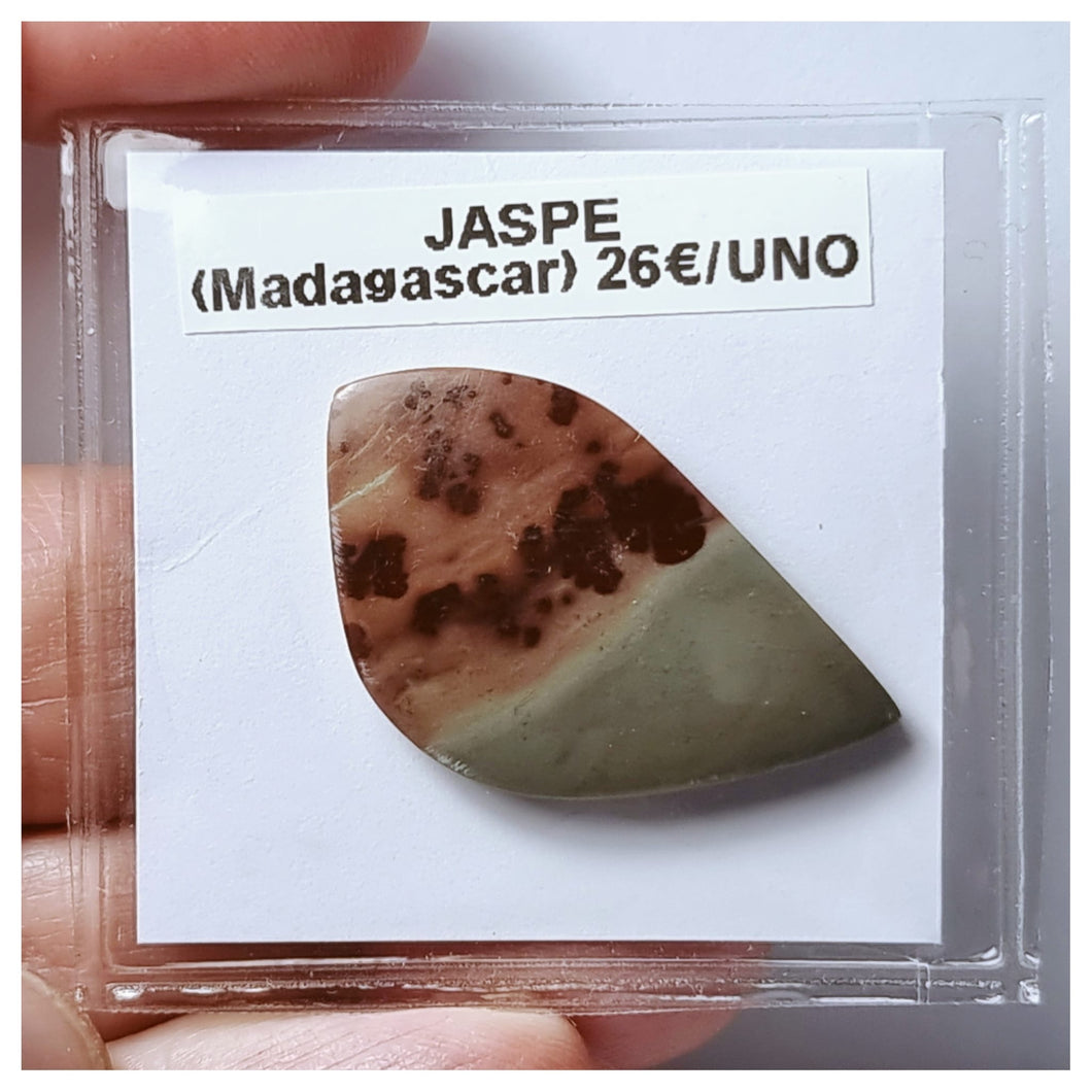 -JASPE-