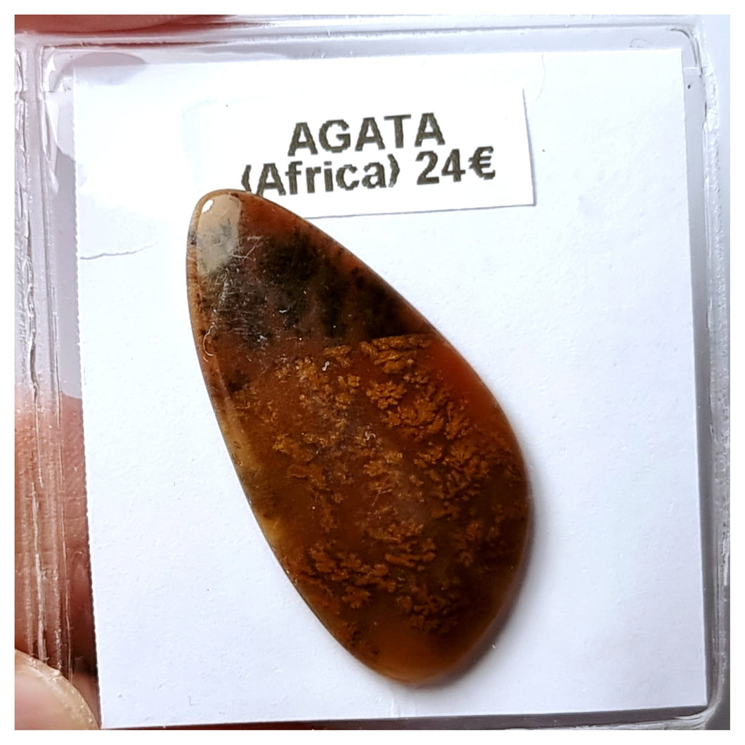 -ÁGATA-
