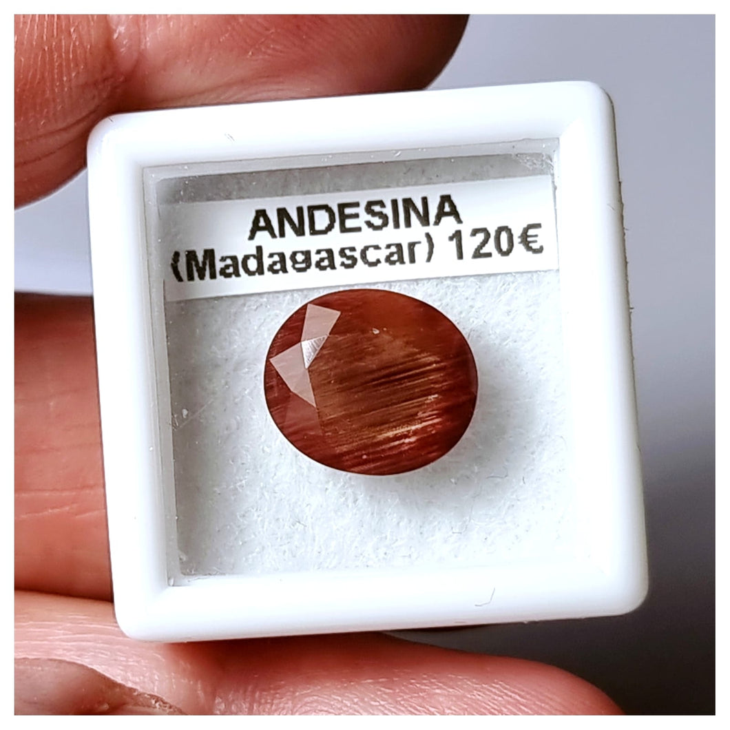 -ANDESINA-