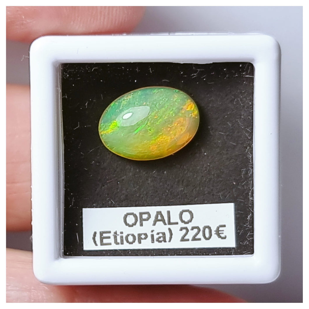 -OPALO ETIOPÍA-