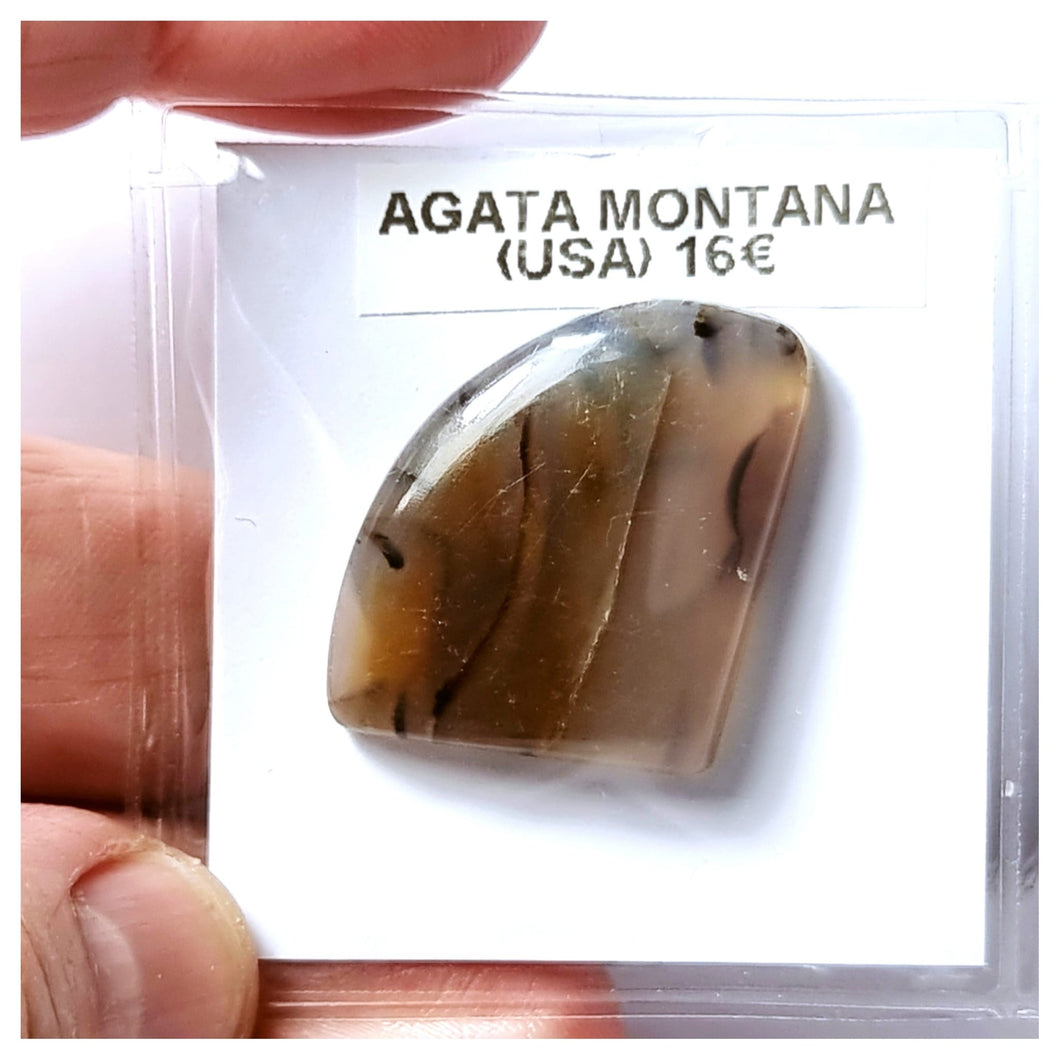 -ÁGATA MONTANA-