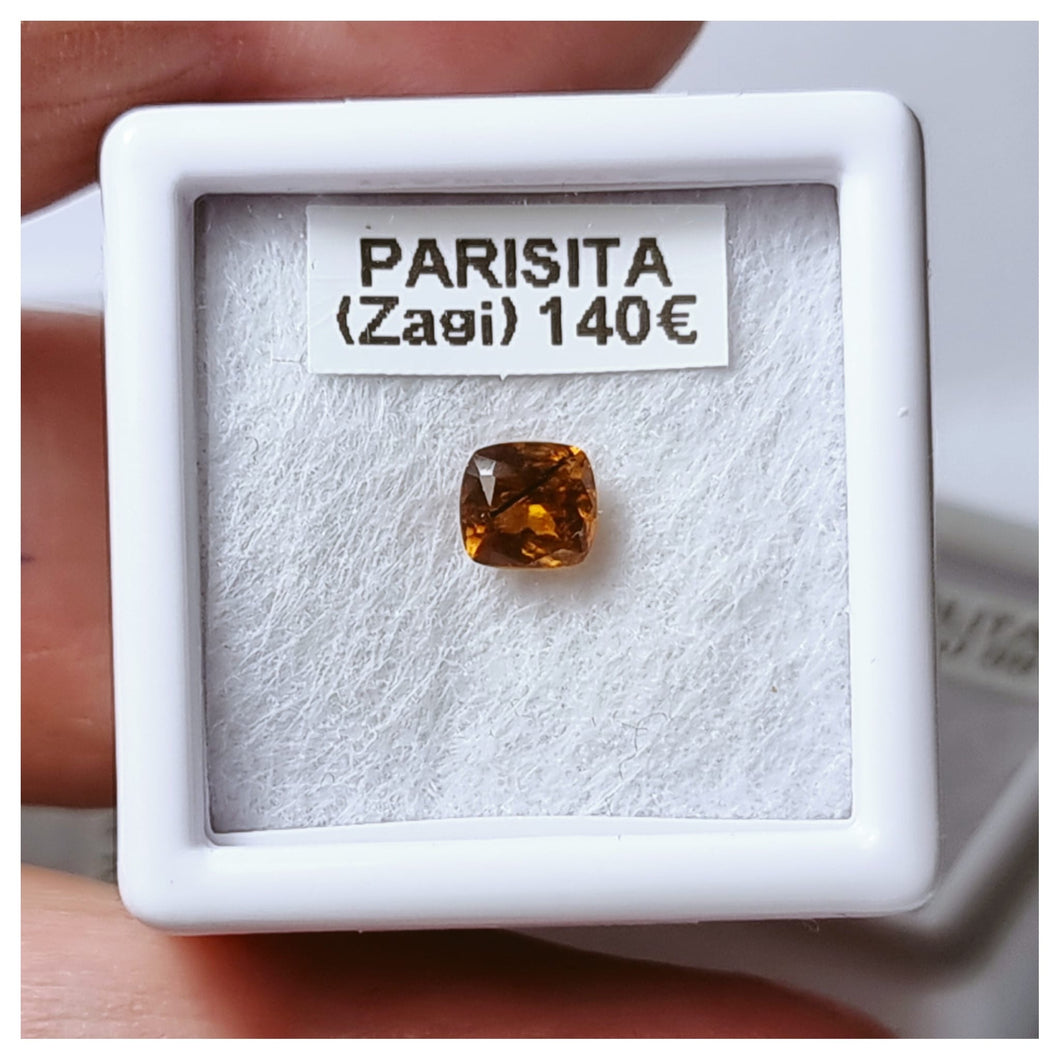 -PARISITA-