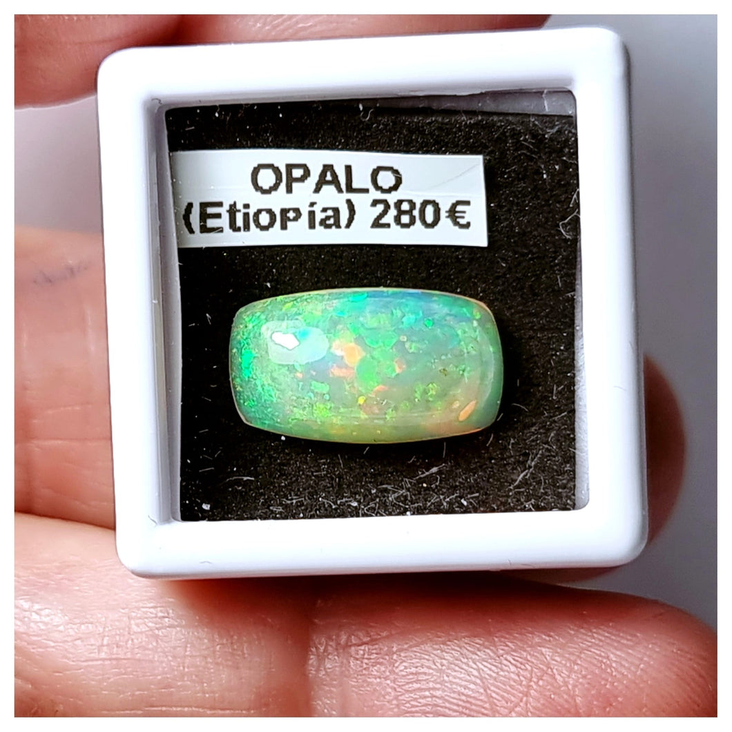 -OPALO ETIOPÍA-