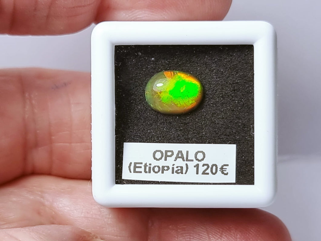 -ÓPALO ETIOPÍA-