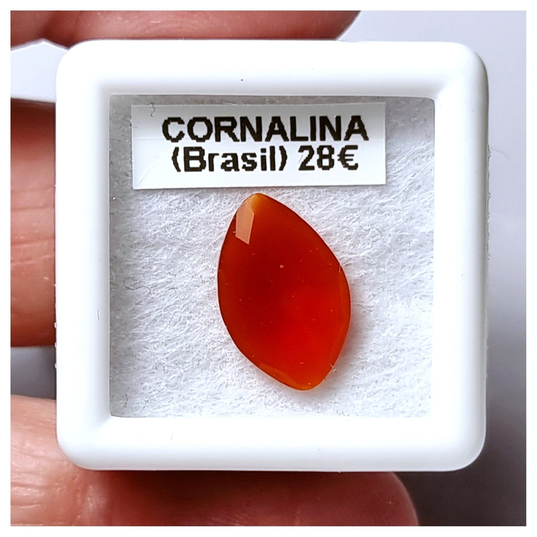 -CORNALINA-
