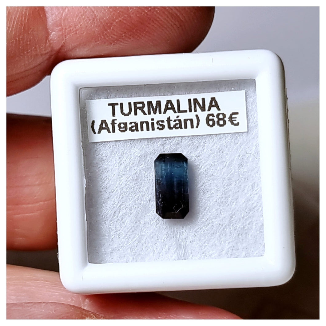 -TURMALINA BICOLOR-