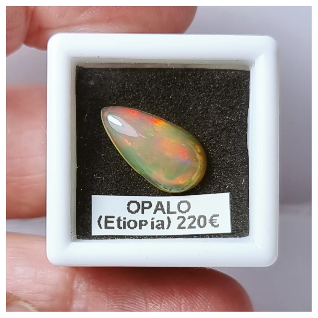 -OPALO ETIOPÍA-