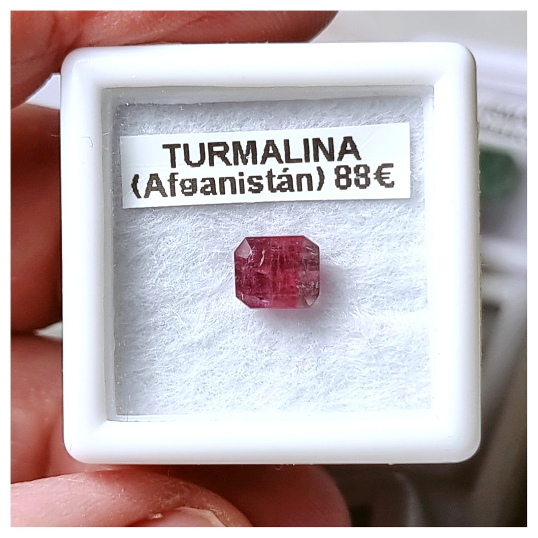-TURMALINA BICOLOR-