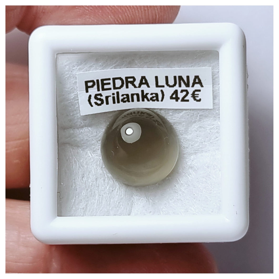 -PIEDRA LUNA-