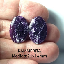 Cargar imagen en el visor de la galería, -KAMMERITA-
